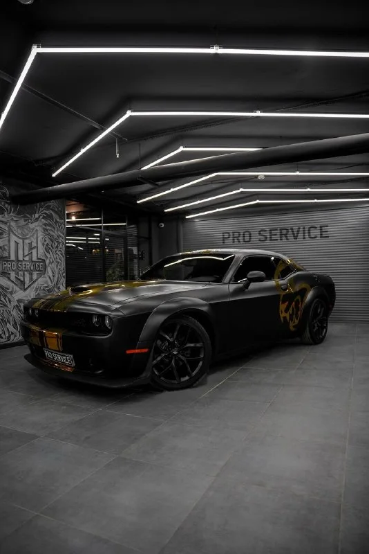 Dodge Challenger Golden Cat — защитная плёнка, фото 2